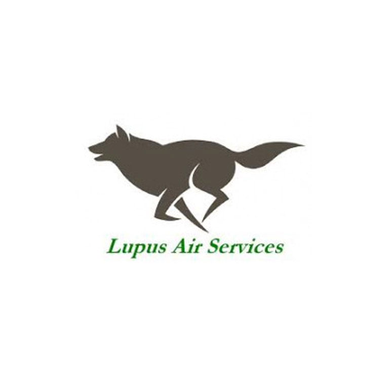 Partner logo